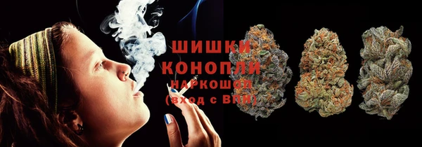 шишки Инта