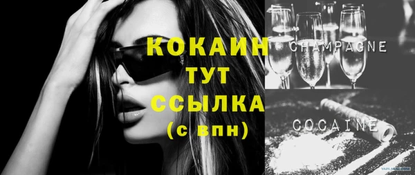 твердый Каменка