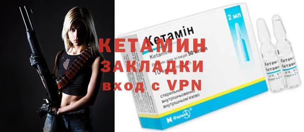 шишки Инта