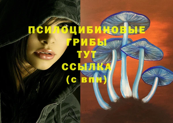 ECSTASY Каменск-Шахтинский