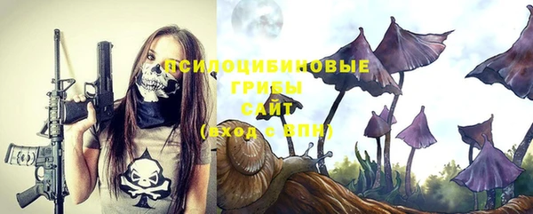 метадон Каменногорск