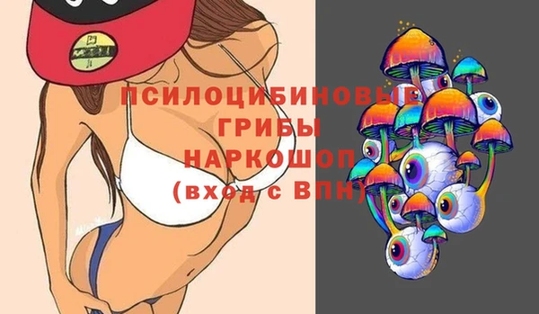 твердый Каменка