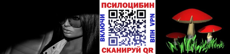 Купить  Бакал  Псилоцибиновые грибы Magic Shrooms 